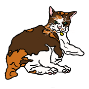 Cat there are three types of color