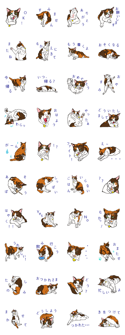 Cat there are three types of color