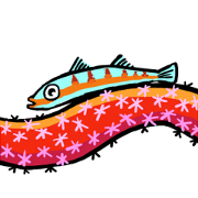 cat diver and sea creatures cat diver and sea creatures