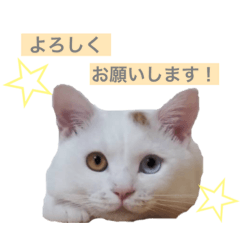 kanae_20200510194935