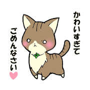 I am a dignified cat.