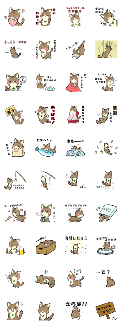 I am a dignified cat.