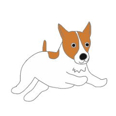 active dog, Jack Russell Terrier