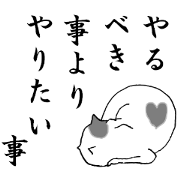 Everyone loves cat Everyone loves cat