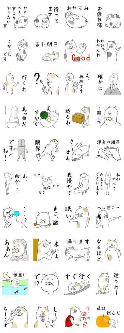 Everyone loves cat Everyone loves cat