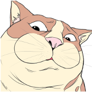 Funny too cats Funny too cats