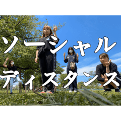 takanenoflowersspecialedition