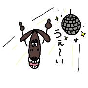 dog chocolato dog chocolato