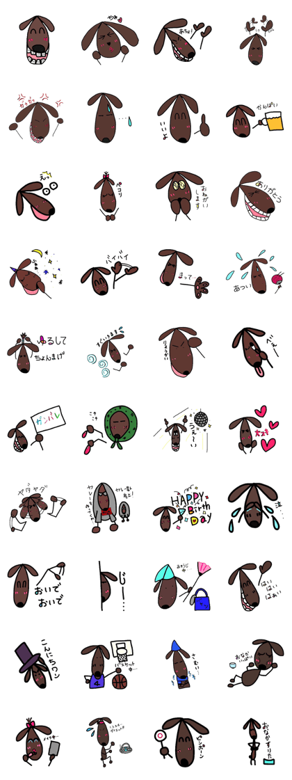 dog chocolato dog chocolato