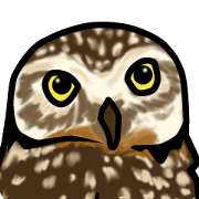 Owls looking at you Owls looking at you