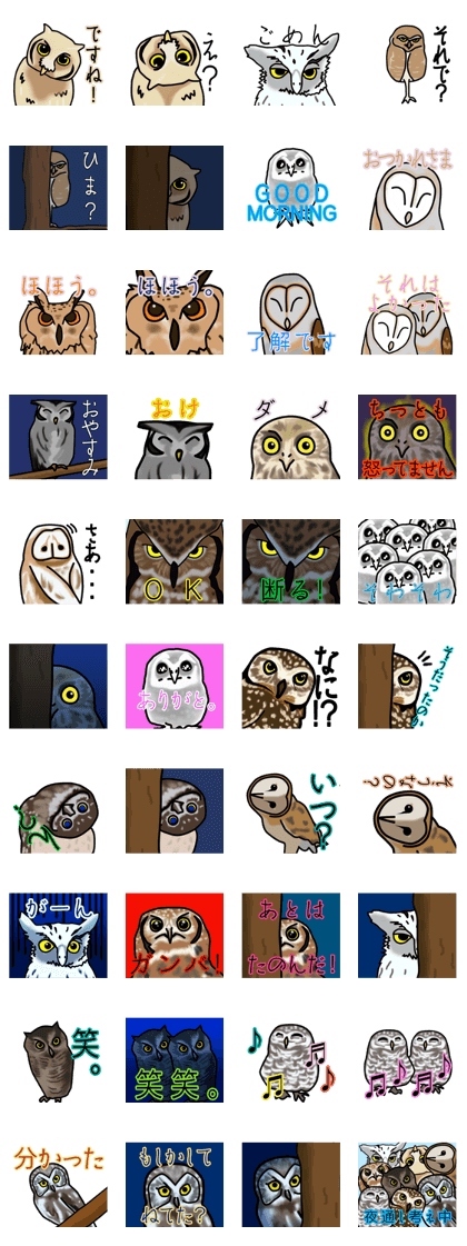 Owls looking at you Owls looking at you