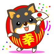 the black Shiba Daruma doll