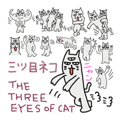 세 개의 눈 고양이
