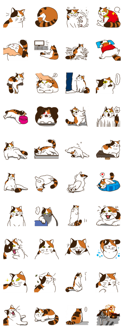 Mi-ke, the Calico Cat 2