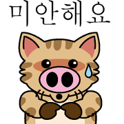 Cat of a pig Korean version Cat of a pig Korean version