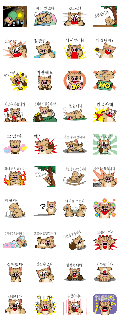 Cat of a pig Korean version Cat of a pig Korean version