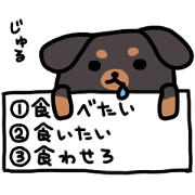 3 -choice dog 3 -choice dog