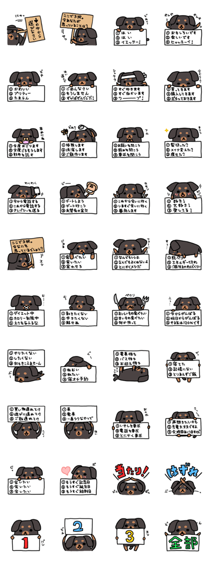 3 -choice dog 3 -choice dog