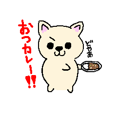 Japanese Chihuahua dog