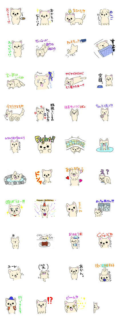 Japanese Chihuahua dog Japanese Chihuahua dog