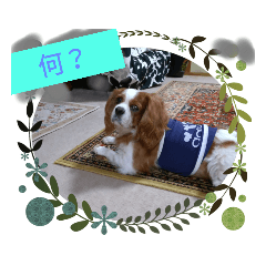 aoi_20200510201841