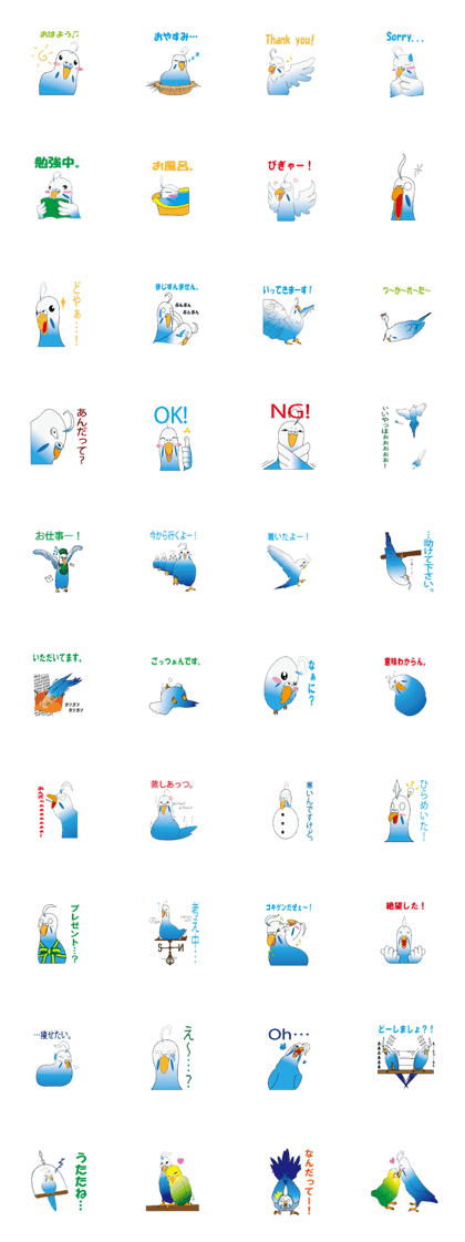 Parakeet genius Parakeet genius