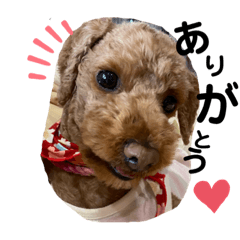 Nozomi_20200510220713