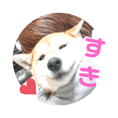 jun4112