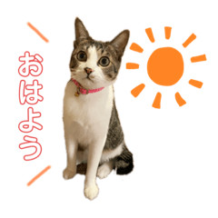 saori_20200510235249