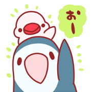 Lovebird Koo and Java sparrow Chii Lovebird Koo and Java sparrow Chii