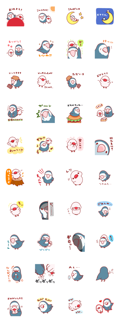 Lovebird Koo and Java sparrow Chii Lovebird Koo and Java sparrow Chii