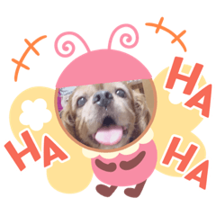 nagisa_20200511012906