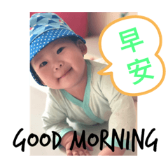 洋洋是大家的寶貝