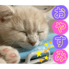 Riho_20200511012037