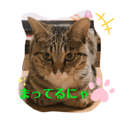HIDEKI.M_20200510203606