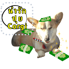 ปุย Corgi สติกเกอร์เติมคำ