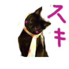 Junko_20200511014539