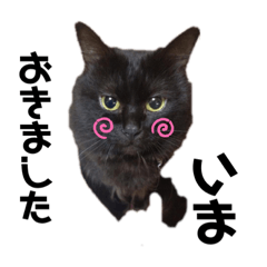 omochi_20200511034227