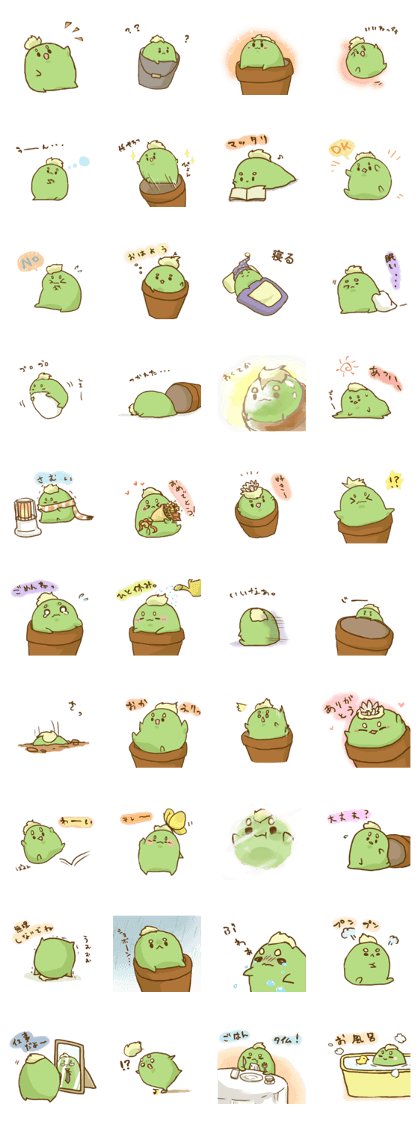 Lophophora Lophophora