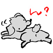 Rock the short-haired poodle 2 Rock the short-haired poodle 2