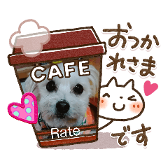 Achi_20200511085023