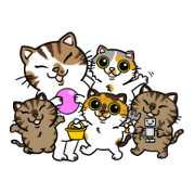 A Cat Life A Cat Life