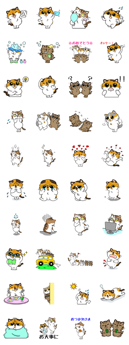 A Cat Life A Cat Life