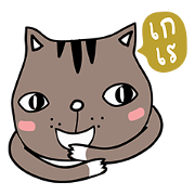 Grey-Ray the cat Grey-Ray the cat