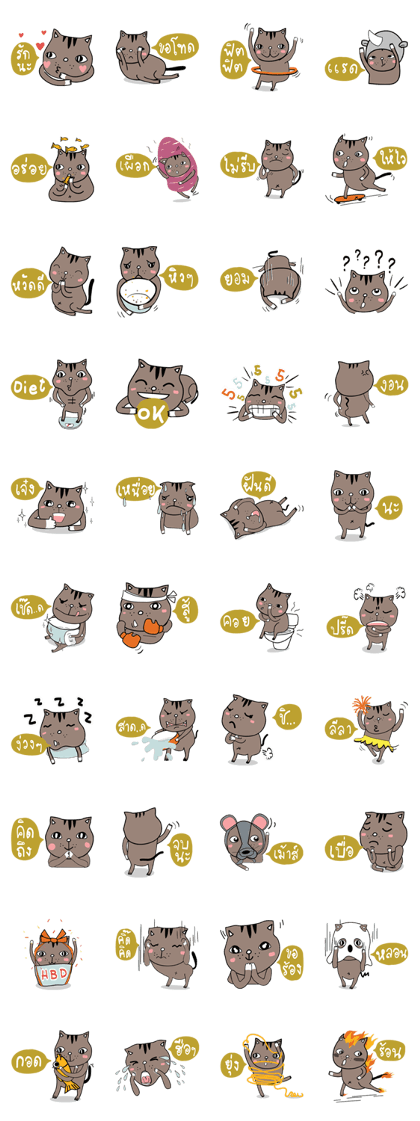 Grey-Ray the cat Grey-Ray the cat