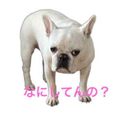 saori_20200511113219