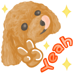 Toy Poodle Toy Poodle Line Stickers Line Store