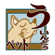 Hello for the narrow window1