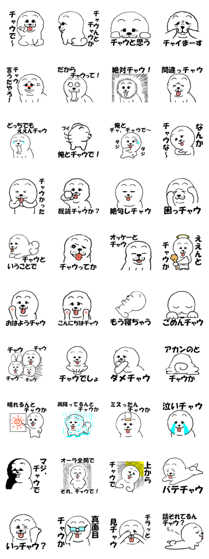 White Chow Chow dog, Chow-zou