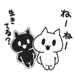 White cat and Haraguro cat